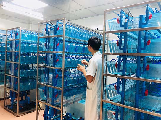 九州酷游(酷游·ku游)官方网站