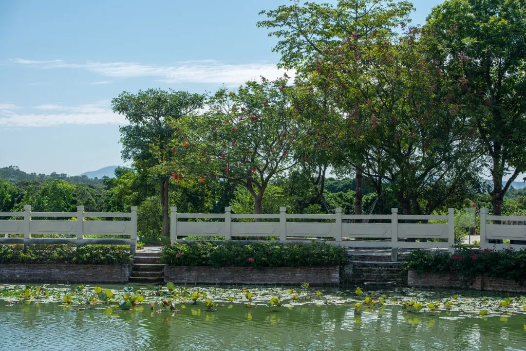 1734675192854776.jpg 1734675107171.jpg