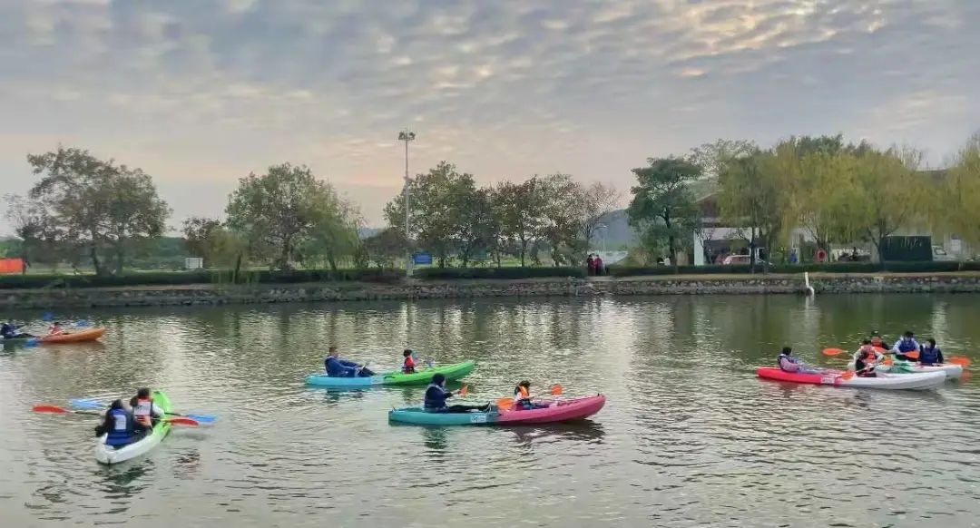 1734675324608134.jpg 1734675276689.jpg