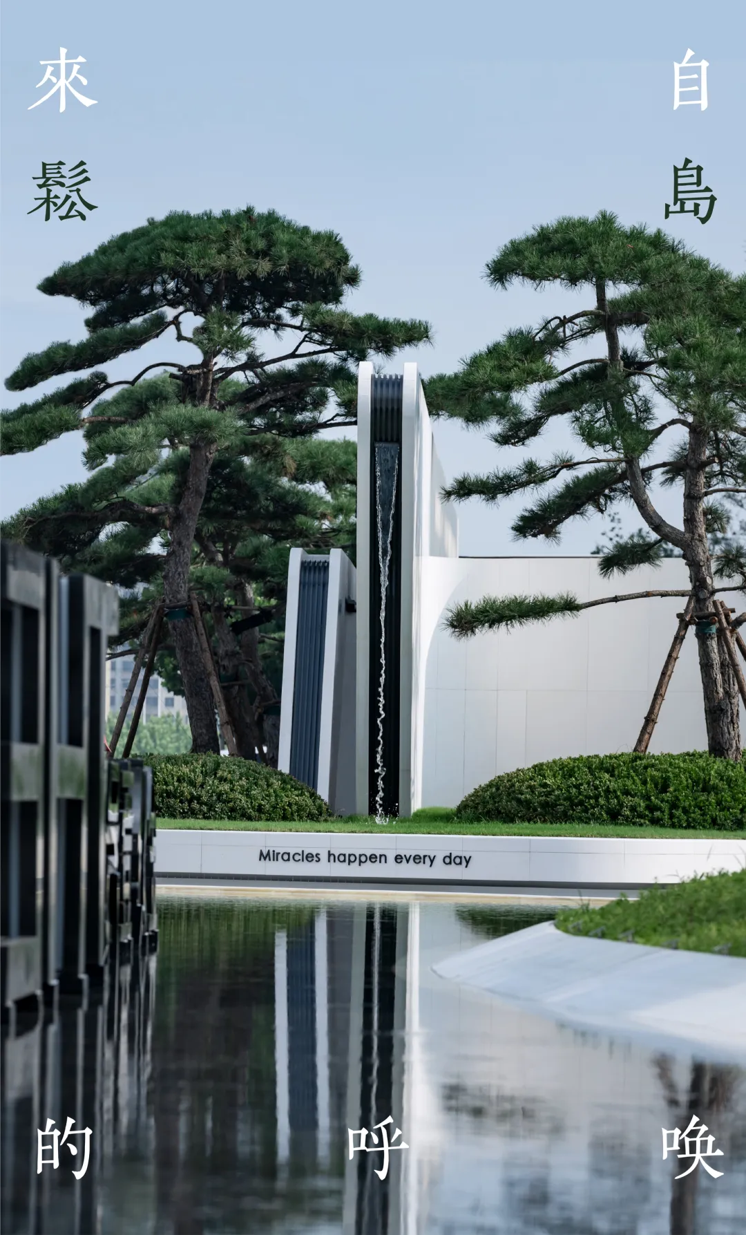 1738915567343797.jpg 1738915543158.jpg