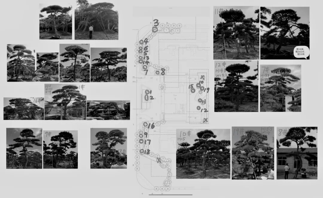 1738915958128416.jpg 1738915949532.jpg